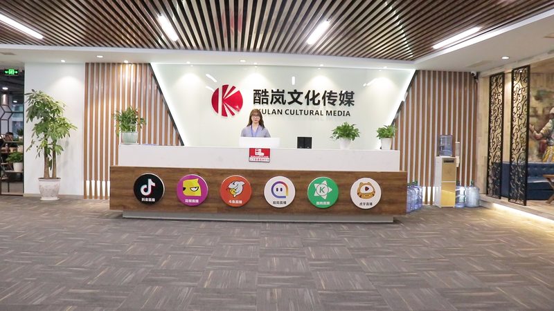 TVC广告片材质与特效费用解析：揭秘制作背后的秘密